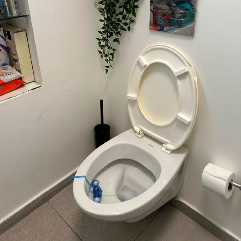 Sem Título-1Prancheta 1